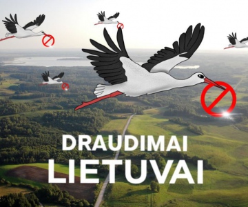 draudimai-lietuvai-1